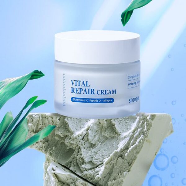 SOOPJAK Vital Repair Cream 60ml - Gambar 2